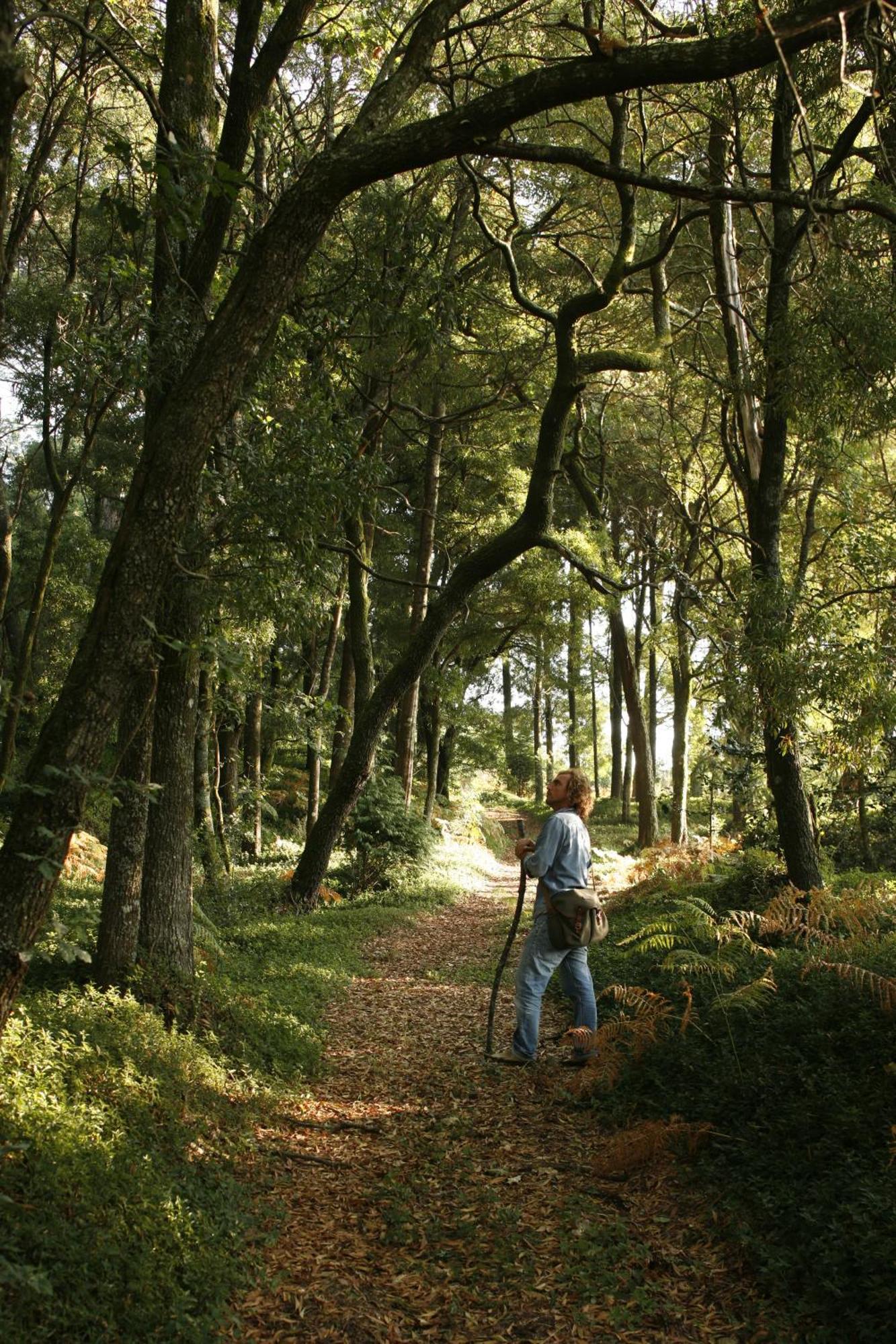 فندق Quinta Da Bouca D'Arques Vila de Punhe المظهر الخارجي الصورة